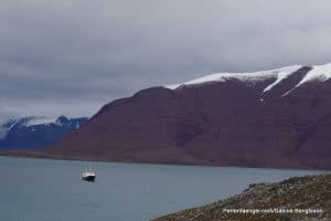 perlenfaenger arktis hurtigruten naturreise 57