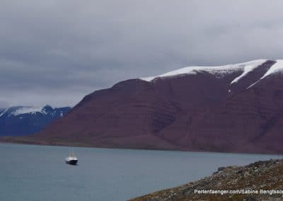 perlenfaenger arktis hurtigruten naturreise 57