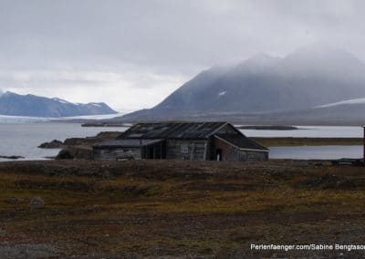 perlenfaenger arktis hurtigruten naturreise 6