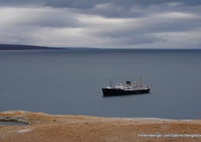 perlenfaenger arktis hurtigruten naturreise 61