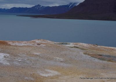 perlenfaenger arktis hurtigruten naturreise 62