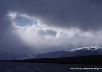 perlenfaenger arktis hurtigruten naturreise 65