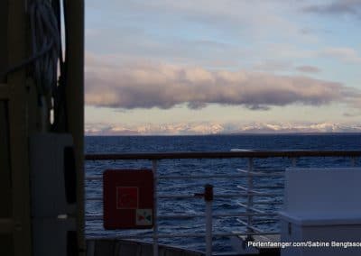 perlenfaenger arktis hurtigruten naturreise 67