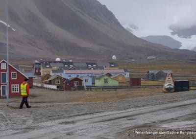 perlenfaenger arktis hurtigruten naturreise 7