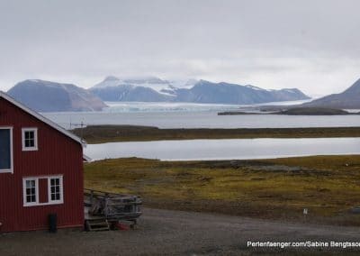perlenfaenger arktis hurtigruten naturreise 8