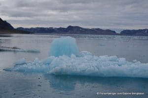 perlenfaenger arktis spitzbergen schiffsexpedition 3