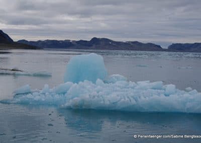 perlenfaenger arktis spitzbergen schiffsexpedition 3