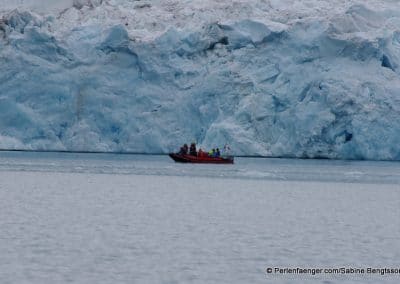 perlenfaenger arktis spitzbergen schiffsexpedition 4