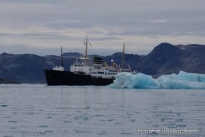 perlenfaenger arktis spitzbergen schiffsexpedition 5
