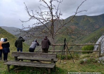 perlenfaenger asturien baerentour 24