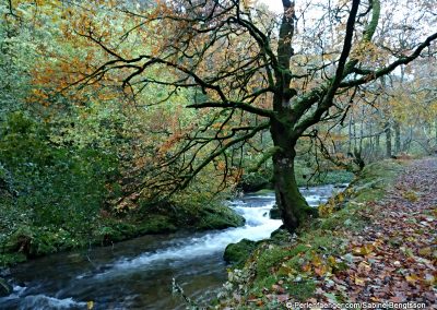 perlenfaenger asturien baerentour 35