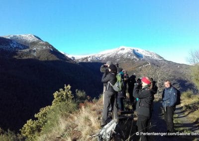 perlenfaenger asturien baerentour Camin Real Leitariegos
