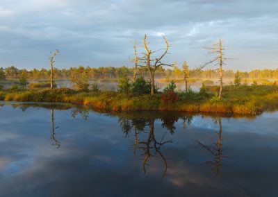 perlenfaenger estland familienreise activeest 2023 1