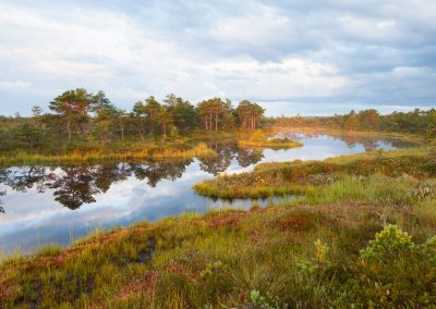 perlenfaenger estland familienreise activeest 2023 2