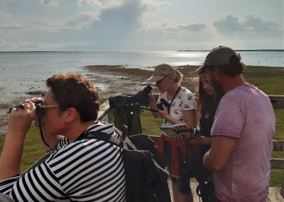 perlenfaenger estland familienreise activeest 2023 31