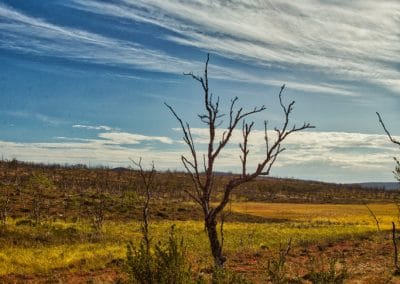 perlenfaenger finnland frauenreise arktis 3