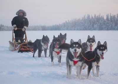 perlenfaenger finnland husky schlittentour aki 11