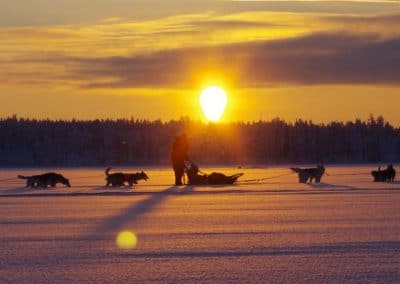 perlenfaenger finnland husky schlittentour aki 13