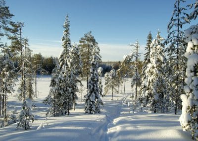 perlenfaenger finnland husky schlittentour aki 9