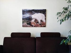 perlenfaenger foto onlineshop