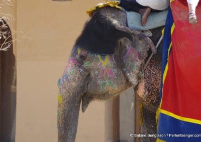 perlenfaenger indien sabine bengtsson 60