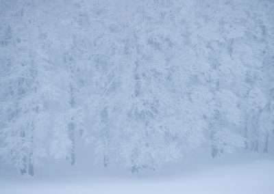 perlenfaenger italien abruzzen umberto winter wolfstour 17