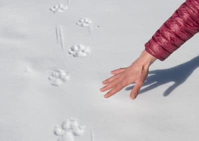 perlenfaenger italien abruzzen umberto winter wolfstour 4
