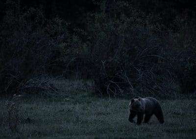 perlenfaenger italien umberto abruzzen big five 17