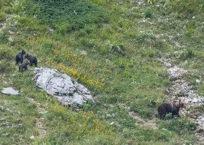 perlenfaenger italien umberto abruzzen big five 3