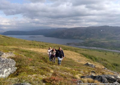 perlenfaenger kanada eisbaer torngat naturtour 16