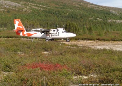 perlenfaenger kanada eisbaer torngat naturtour 26