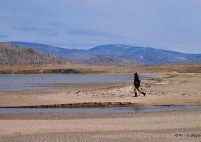 perlenfaenger kanada eisbaer torngat naturtour 4