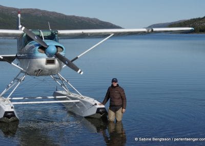 perlenfaenger kanada eisbaer torngat naturtour 59 1