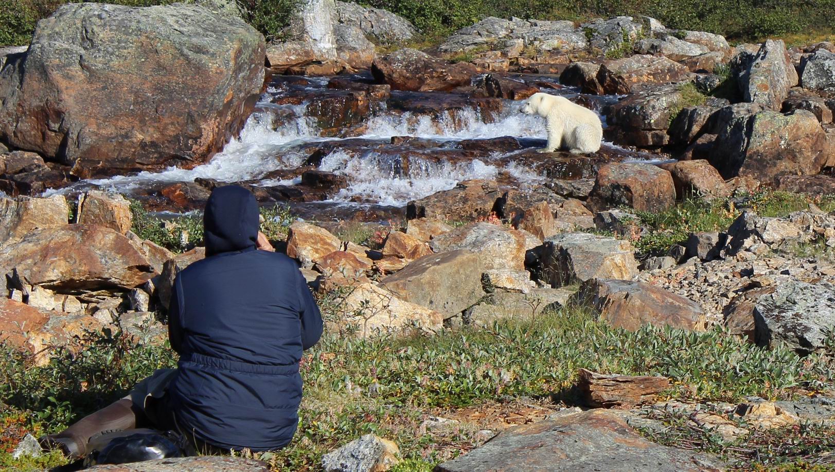 perlenfaenger kanada fotosafari torngat 10