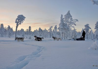 perlenfaenger lauri finnland kota 83