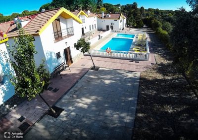 perlenfaenger luchse andalusien lynx spanien 25