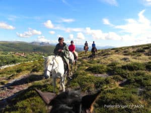 perlenfaenger portugal reitseminar reiten wie es sich pferde wuenschen wildpferde ausritt