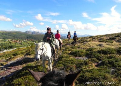 perlenfaenger portugal reitseminar reiten wie es sich pferde wuenschen wildpferde ausritt