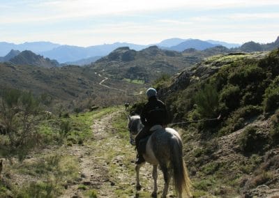 perlenfaenger portugal wildpferde woelfe reitertour peneda geres 4