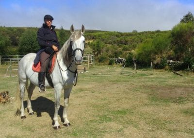 perlenfaenger portugal wildpferde woelfe reitertour peneda geres 5