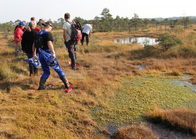 perlenfaenger wildes estland activeest 17