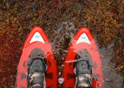 perlenfaenger wildes estland activeest 20