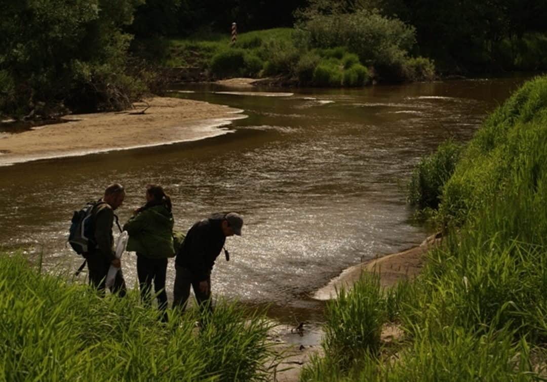 Belgisches Filmteam in der Lausitz bei einer Wolfstour