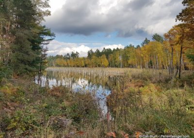 perlenfaenger wolfsseminar Lausitz 10.2020